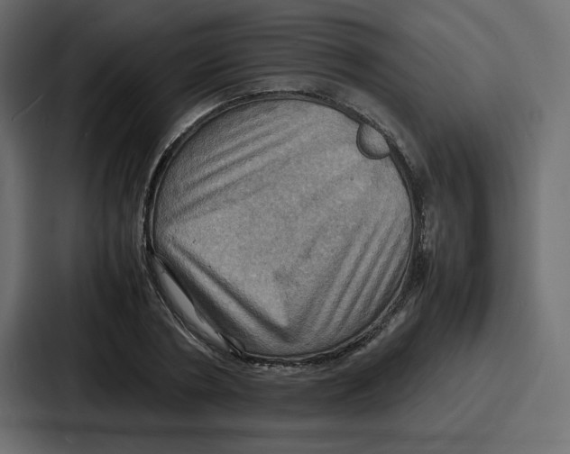 X0000086770786200705111734