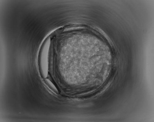 X0000086770787200705111734