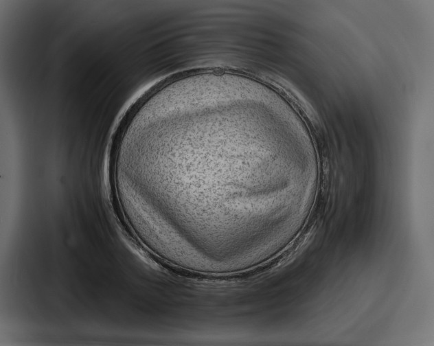 X0000086770788200705111734