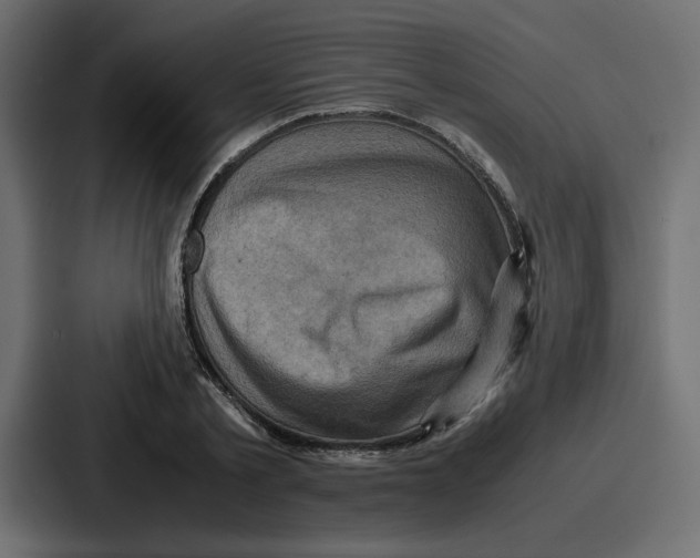 X0000086770789200705111734