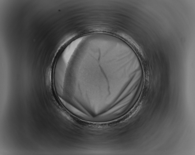X0000086770790200705111734