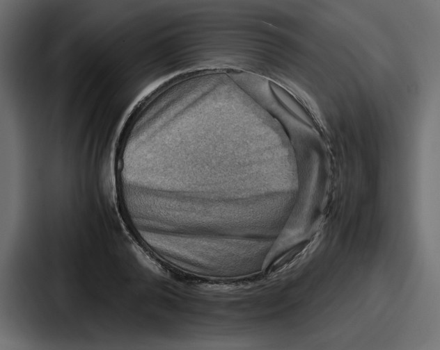 X0000086770792200705111734