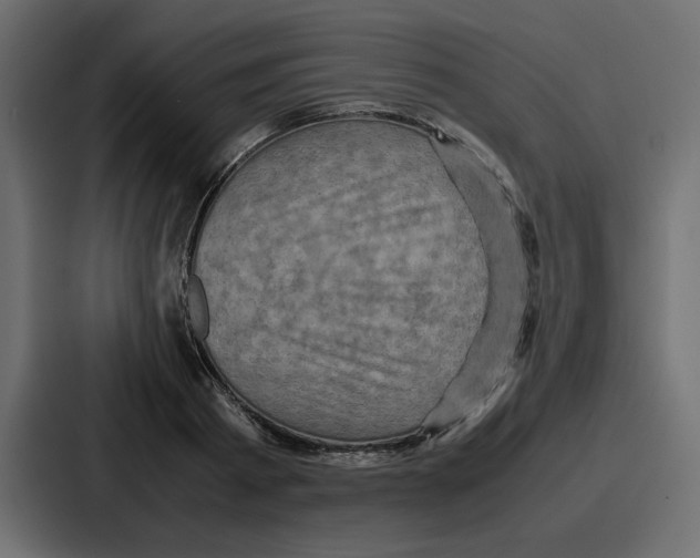 X0000086770793200705111734
