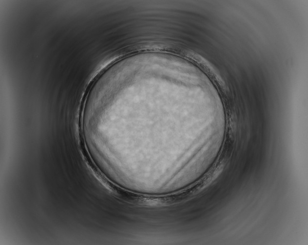 X0000086770794200705111734