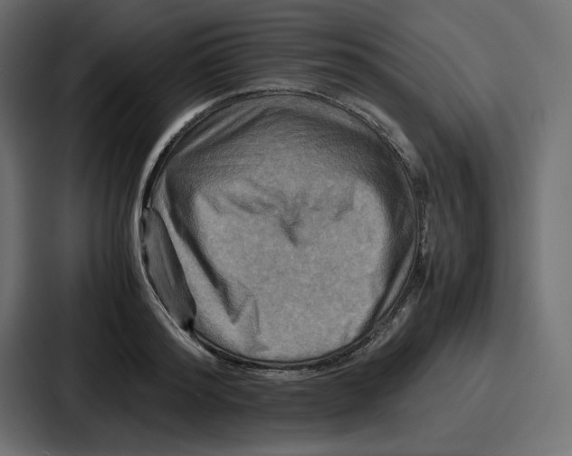 X0000086770796200705111734