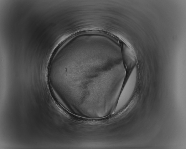 X0000086770797200705111734