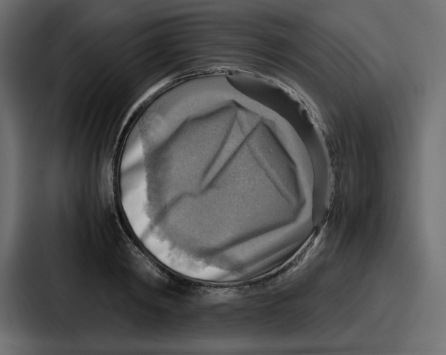 X0000086770798200705111734