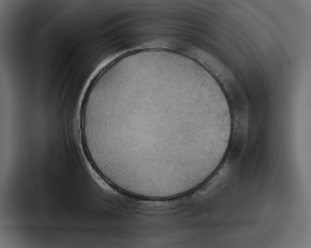 X0000086770800200705111734
