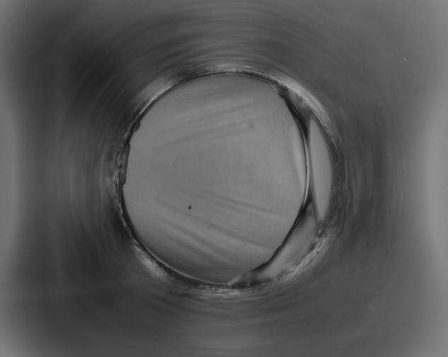 X0000086770801200705111734