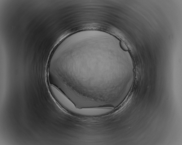 X0000086770802200705111734