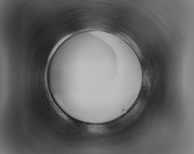 X0000086770804200705111734