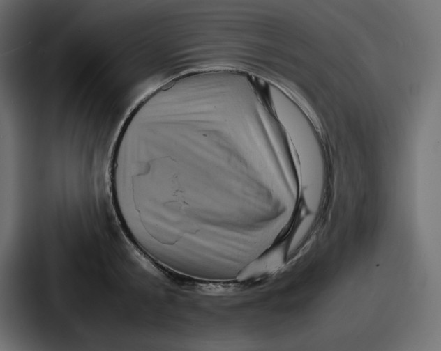 X0000086770805200705111734