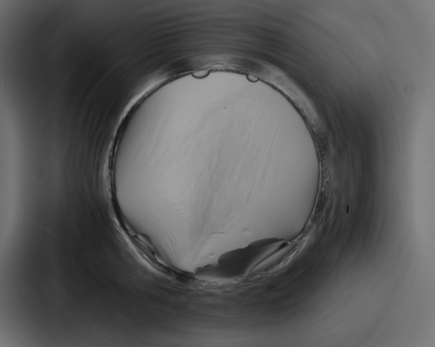 X0000086770806200705111734