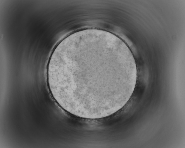 X0000086770807200705111734