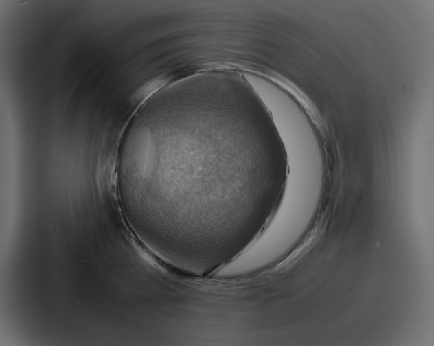 X0000086770809200705111734