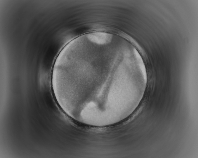 X0000086770810200705111734