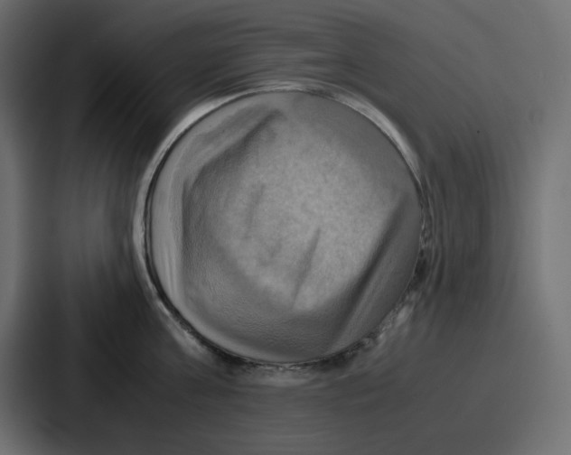 X0000086770811200705111734