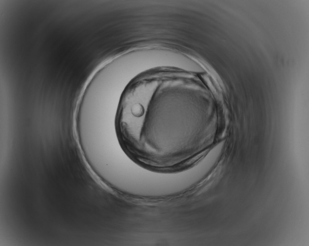 X0000086770813200705111734