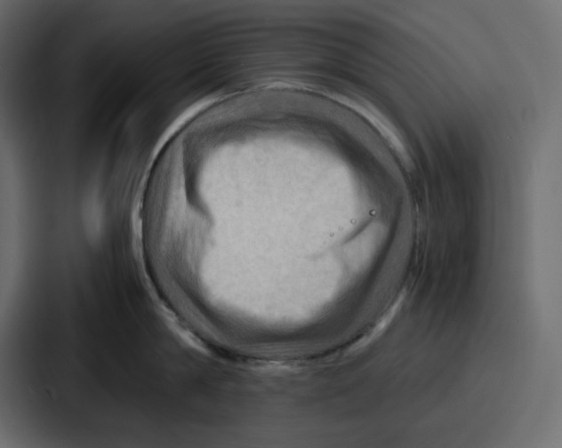 X0000086770814200705111734