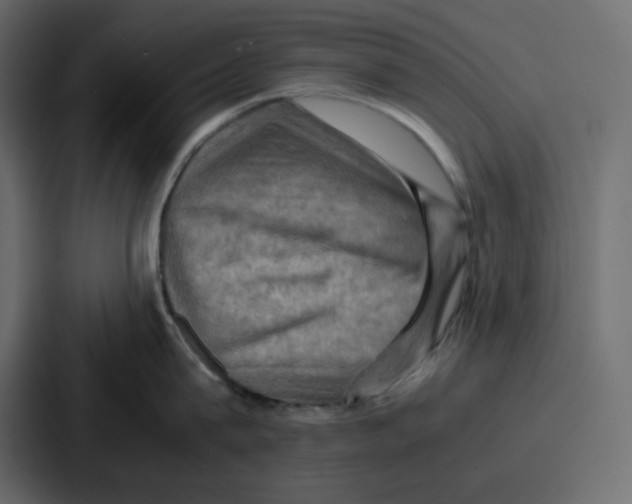 X0000086770815200705111734