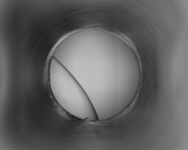 X0000086770816200705111734
