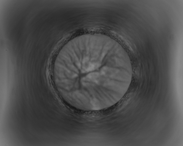 X0000086770817200705111733