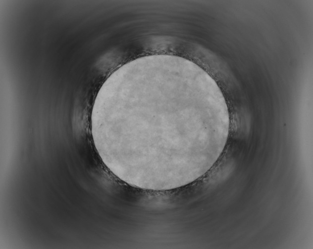 X0000086770820200705111733