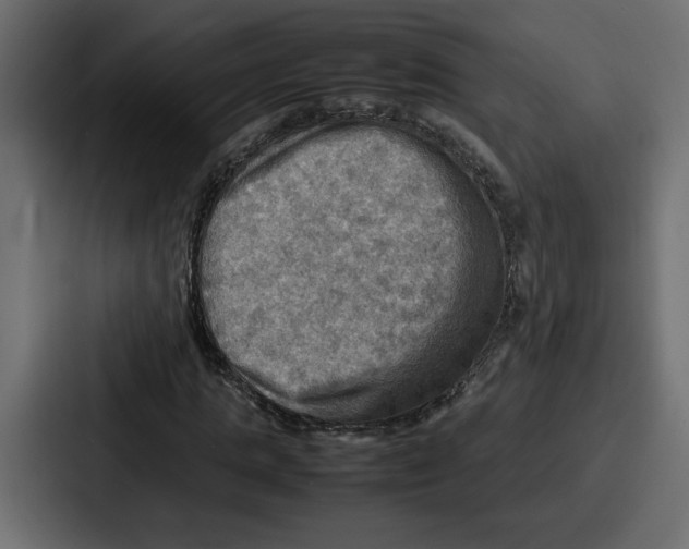 X0000086770821200705111733