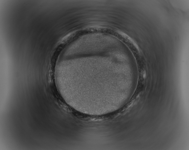 X0000086770822200705111733