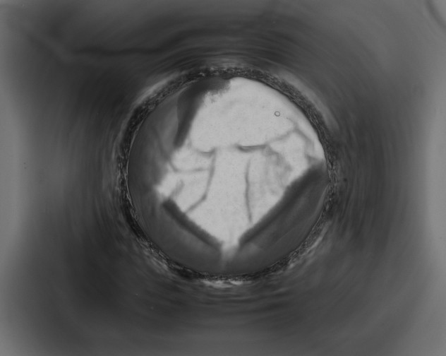 X0000086770823200705111733