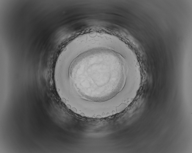 X0000086770824200705111733
