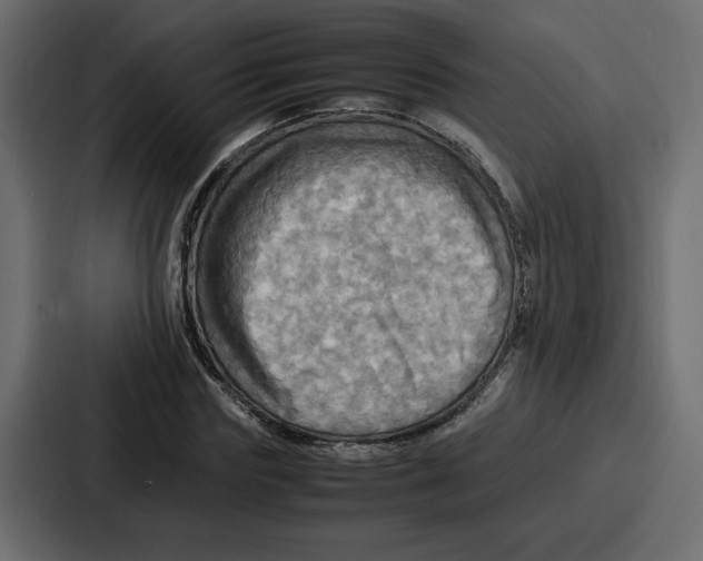 X0000086770827200705111733