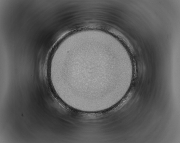 X0000086770828200705111733