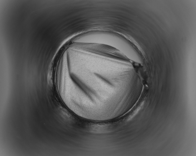 X0000086770830200705111733