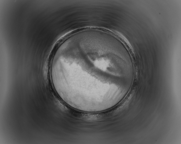 X0000086770831200705111733