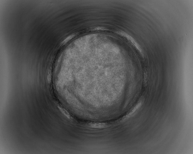 X0000086770833200705111733