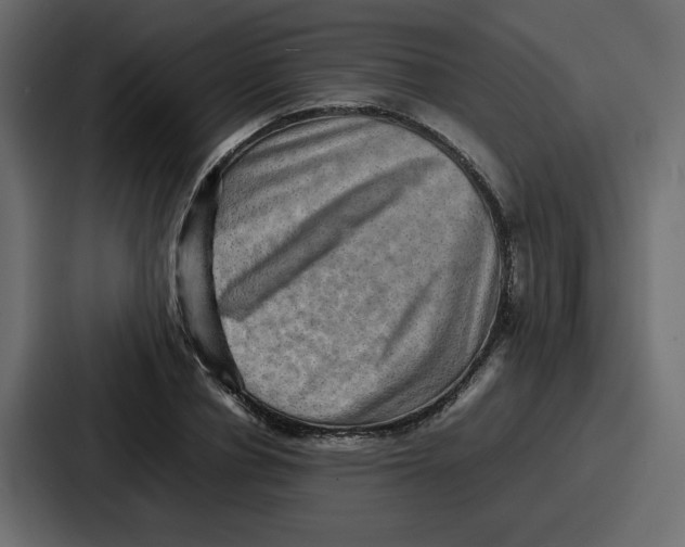 X0000086770834200705111733