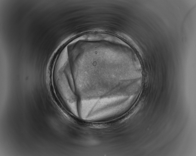 X0000086770835200705111733