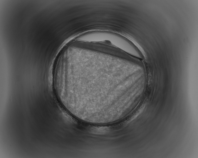 X0000086770837200705111733