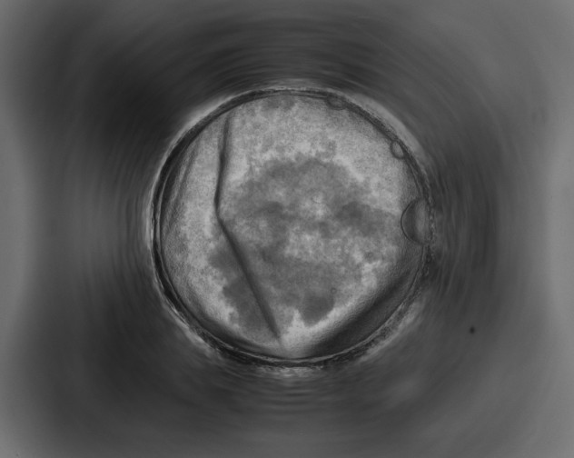 X0000086770839200705111733