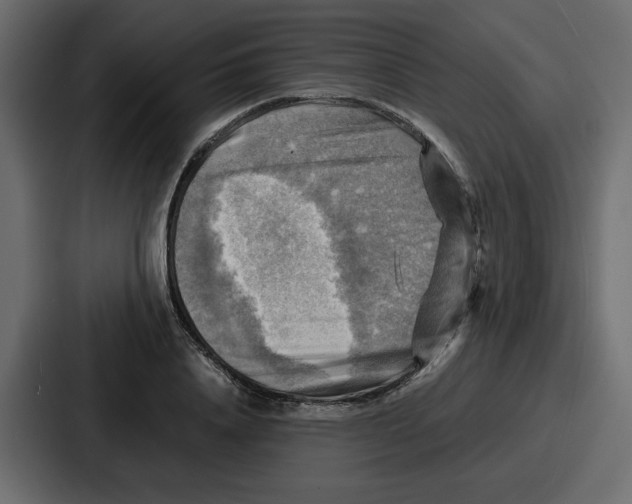 X0000086770840200705111733