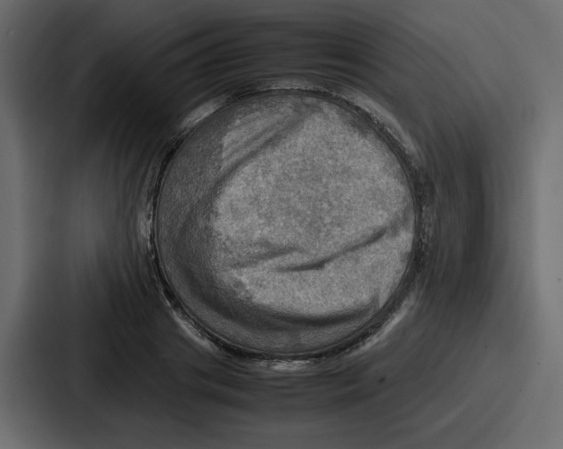 X0000086770841200705111733