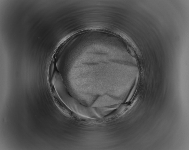 X0000086770842200705111733