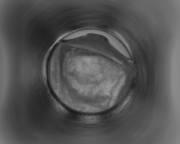 X0000086770843200705111733