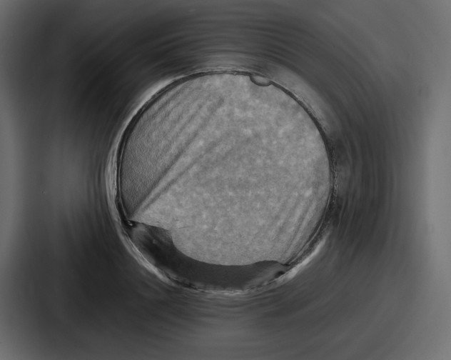 X0000086770844200705111733