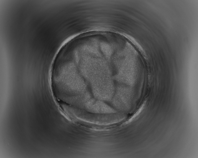 X0000086770846200705111733