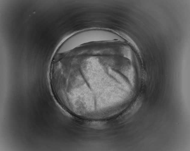 X0000086770847200705111733