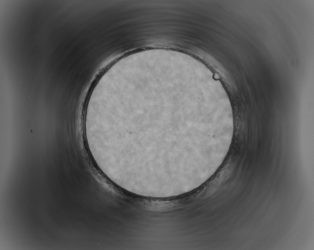 X0000086770848200705111733
