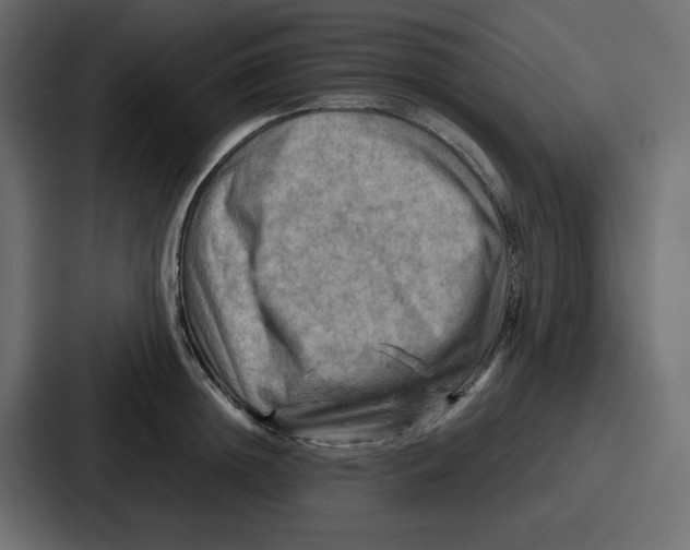 X0000086770852200705111734