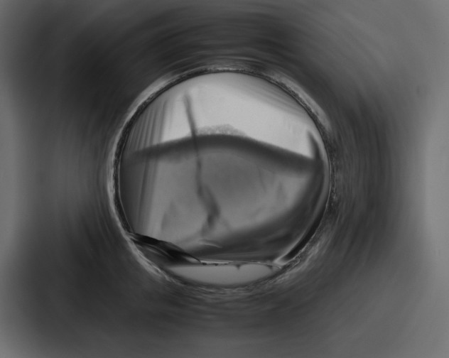 X0000086770853200705111734